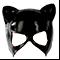 ���� �������� �������[11]