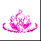 ���� �������[11]