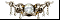 ������ ��������